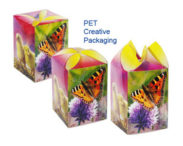 Apet film for uv offset printing