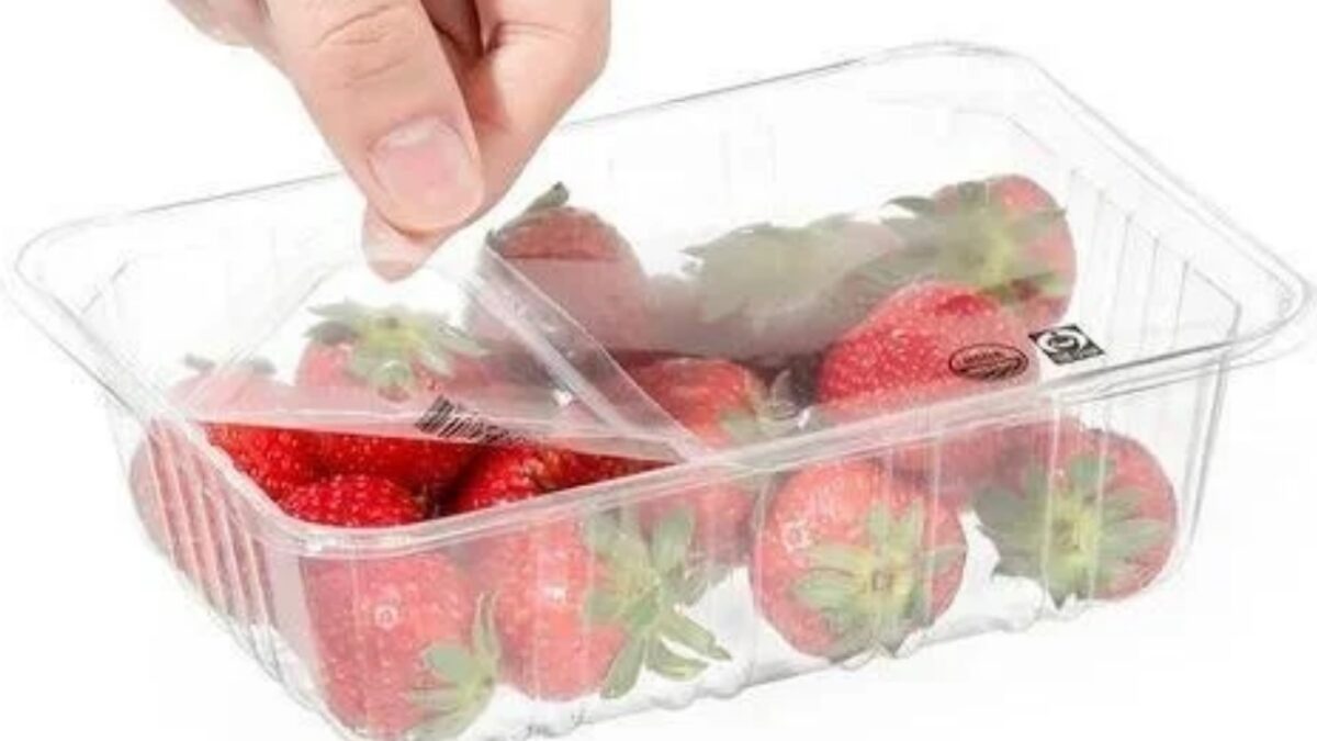 Heat-sealable-pet-film