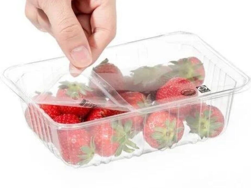 Heat-sealable-pet-film